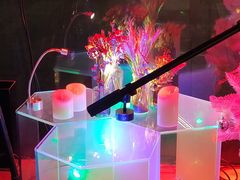 -甜喵酒吧(茂业店)