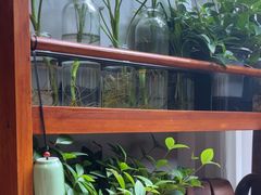 -街角 T·COFFEE 融合料理·BISTRO(车公庙店)