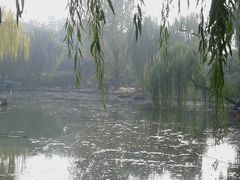 -紫竹院公园冰场