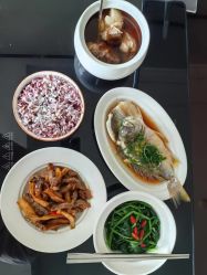 -臻康乃馨月子中心(凯宾斯基店)