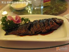 鲫鱼-申粤轩酒楼·三十年粤菜经典(丁香花园店)