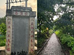 -长寿村