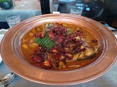 -柿合缘新京菜(国金中心商场店)