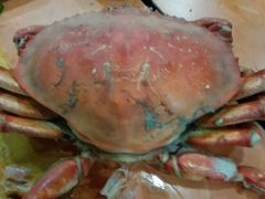 android_upload_pic-胶东海鲜大排档(北太平庄店)