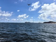 -海驴岛(荣成市)
