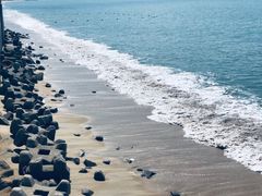 -采粤轩中餐厅(惠州金海湾喜来登度假酒店)