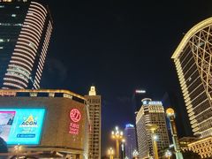 -成都明宇丽雅饭店