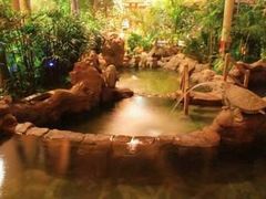-龙达温泉生态城