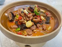 -洞庭家宴·头牌甲鱼(广渠门店)
