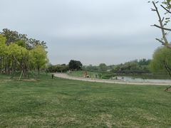 -塘沽森林公园
