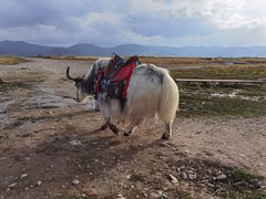 -青海湖国家重点风景名胜区