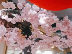 -九田家黑牛烤肉料理(宽城万达店)