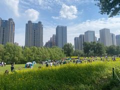 -长白岛森林公园