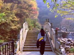 -少华山国家森林公园