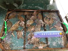 梭子蟹-石塘路海鲜市场(草厂中路店)