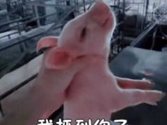 -五台山·保龄球馆