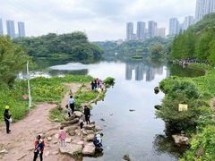 -重庆彩云湖湿地公园