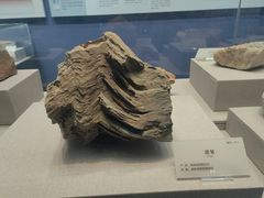 -湖南省地质博物馆