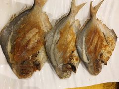-黄B湛江鸡饭店(粤垦路店)