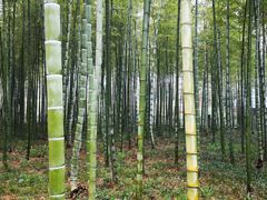 -天目湖御水温泉·度假酒店