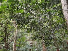 -七仙岭温泉国家森林公园