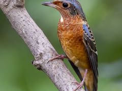 -苏州河梦清园环保主题公园