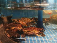 -海立阁海鲜江浙菜(漕河泾印象城店)
