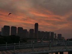 -厦门园林博览苑