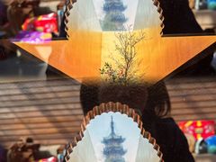 -龙华素斋(龙华路店)