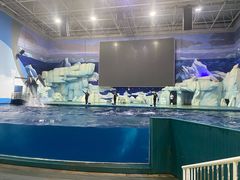 -福州罗源湾海洋世界旅游区