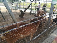 -迪茵湖田家舍生态农场