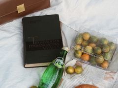 -两河城市森林公园