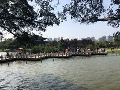 -江心屿景区