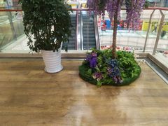 -高新活力汇Vitality