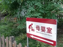 -莲花池公园