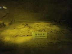 -汉景帝阳陵博物院
