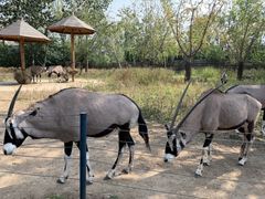 -大连森林动物园