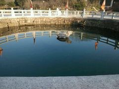 -白马涧龙池景区