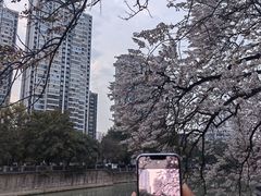 -红星桥(地铁站)