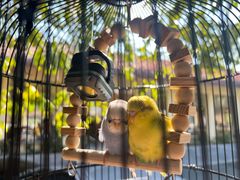 -一品烧农庄·佛山本地特色菜