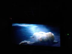 -星河国际影城(新会店)