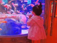 -沈阳海洋探索中心