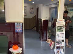 -顺强宠物诊所·狂犬免疫·夜诊·骨科(嘉定店)