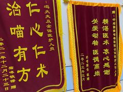 -中农国际动物医院24小时·猫科·骨科·急重症中心