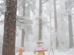 -瓦屋山景区