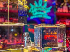 -Darling Queen·Mini·Live·House