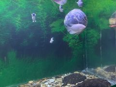 -常州海昌海洋探索馆