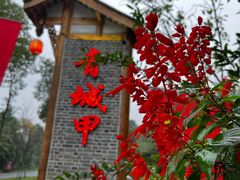 -青城甲(青城山店)