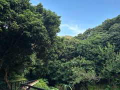 -月亮湾公园