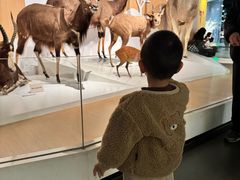 -陕西自然博物馆